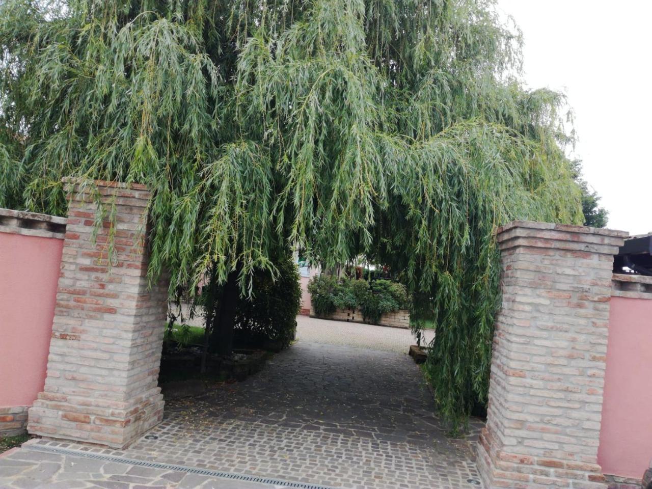 Agriturismo Ferretti Villa Massa Lombarda Esterno foto